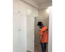 家庭除甲醛
